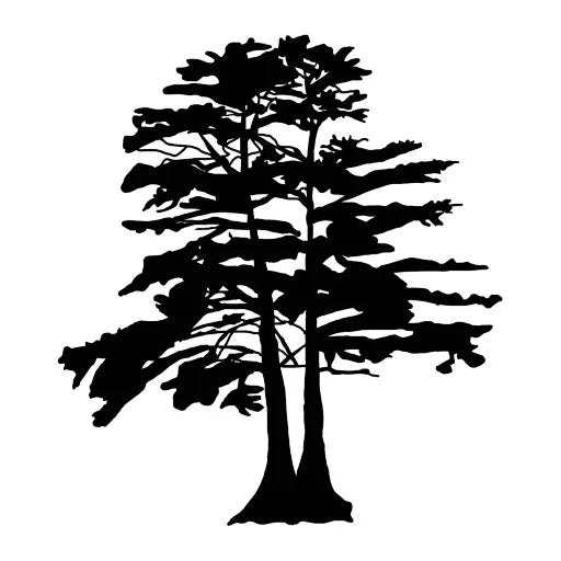 Texas A&M Forest Service Survey Reveals Resilience of Baldcypress Trees Along Guadalupe River